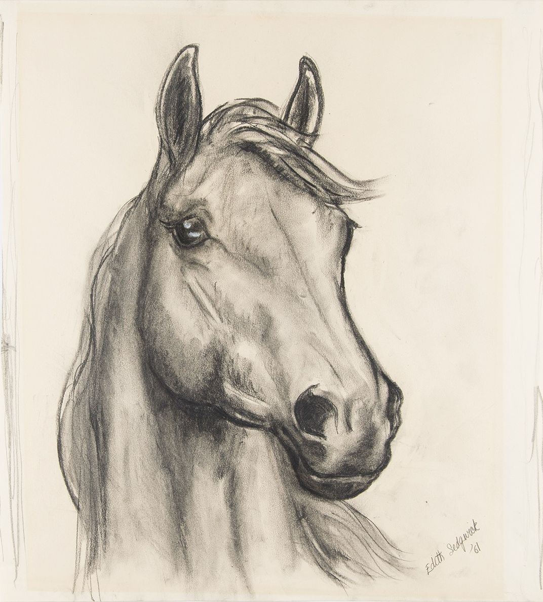 A sketch of a horse