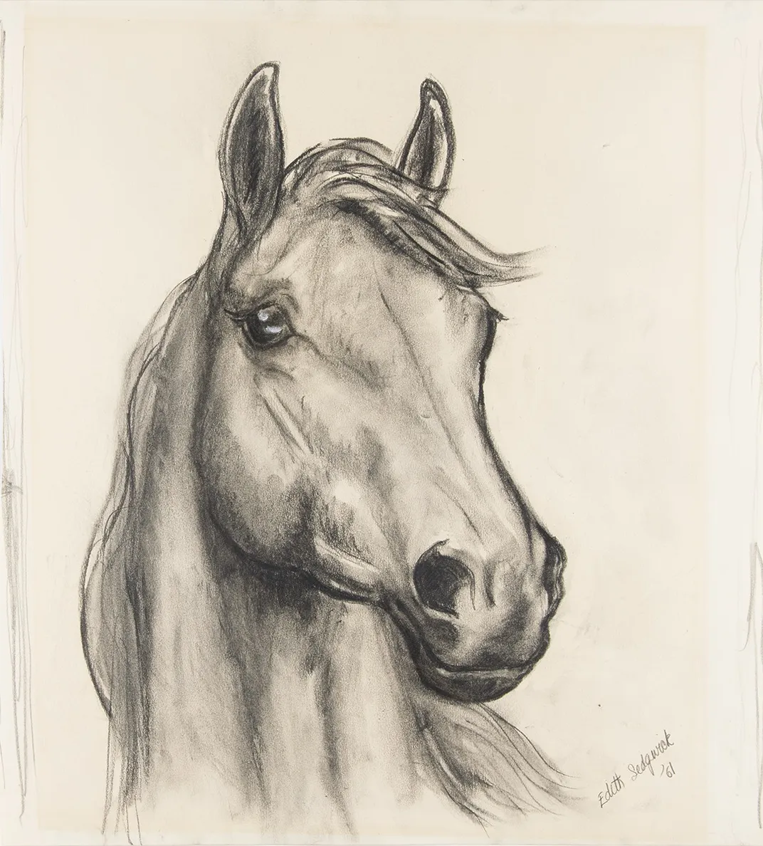 A sketch of a horse