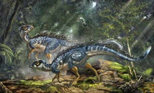 20110520083122tianyulong-bristly-dinosaur.jpg