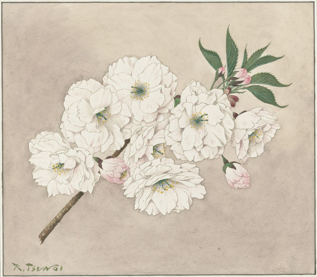 Ichiyō (Single leaf), 1921 