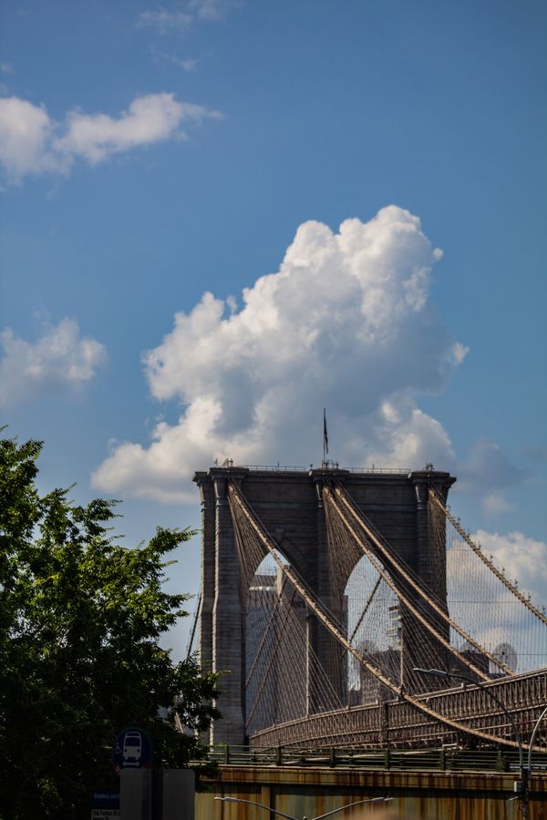 The Brooklyn Bridge thumbnail