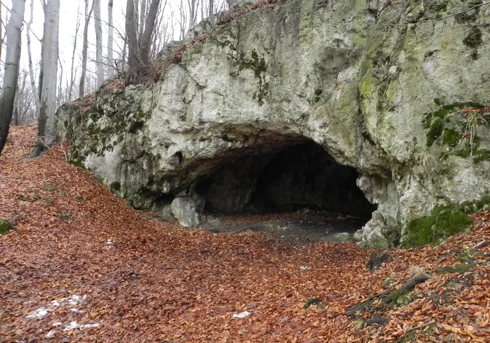 Maszycka Cave in southern Poland