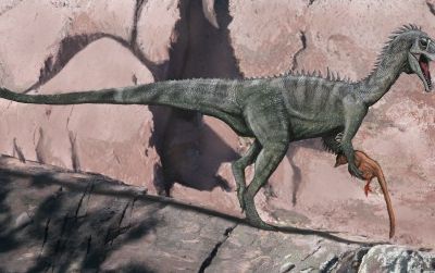 A speculative restoration of Australia's Cretaceous ceratosaur