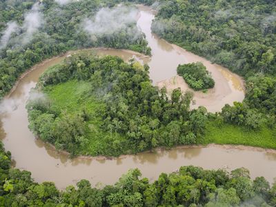Tiputini River and rainforest, Yasuni National Park, Amazon, Ecuador.