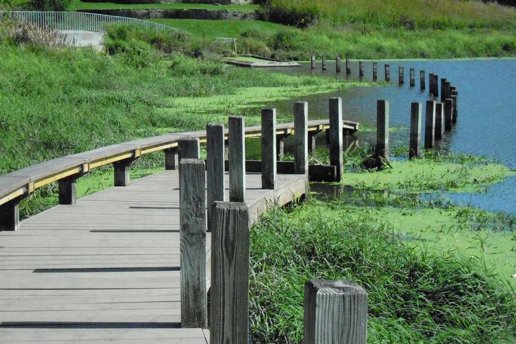 Winding boardwalk