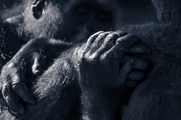 Can You Pray With Me? thumbnail