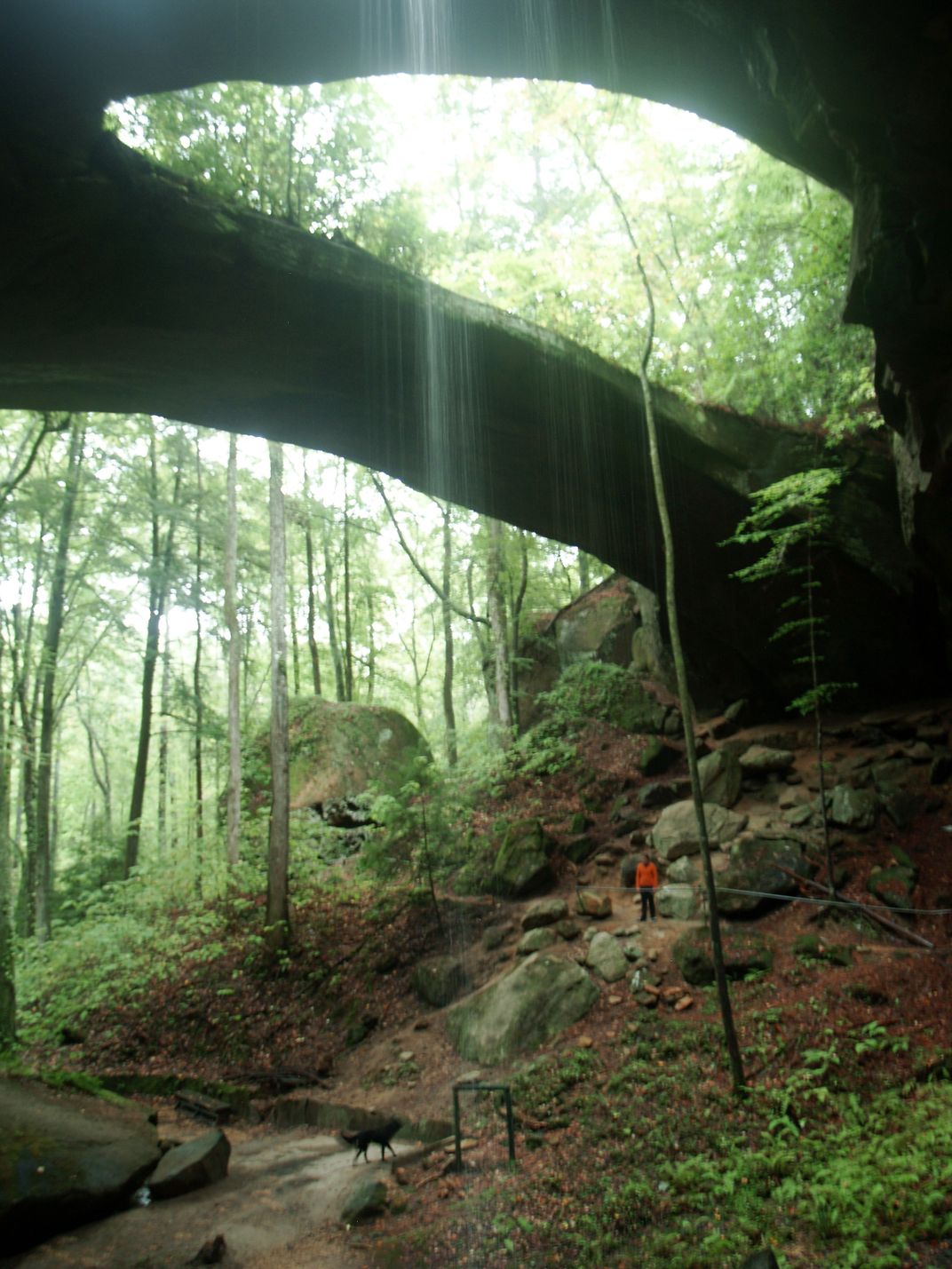Natural Bridge, Alabama Smithsonian Photo Contest Smithsonian Magazine