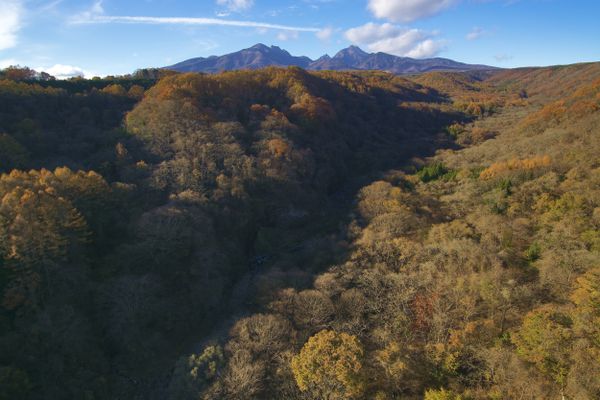 Autumn in Yatsugatake thumbnail