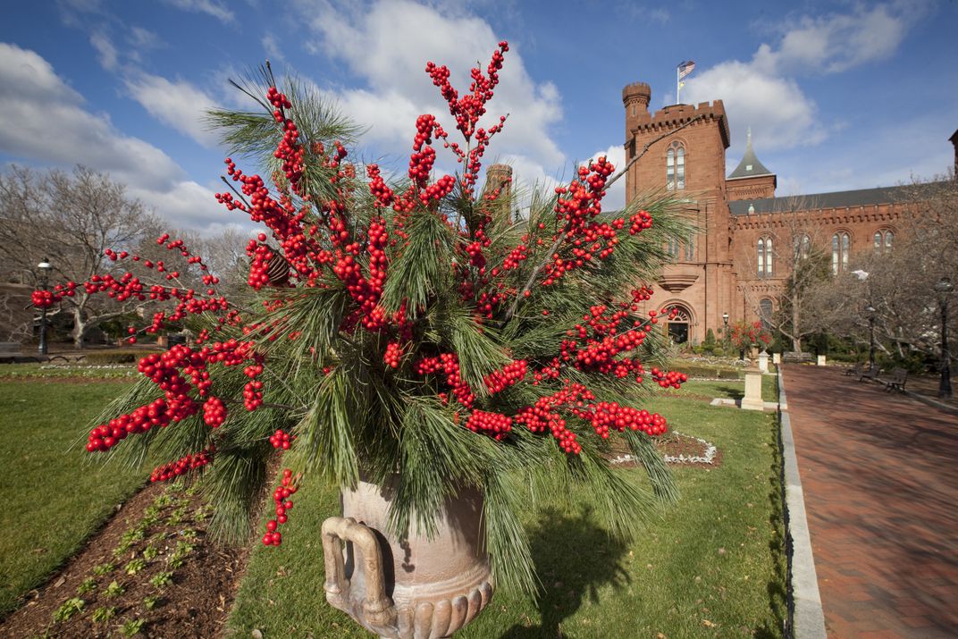 Smithsonian Gardens Holiday Decor