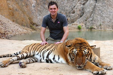 The Tiger Temple charged tourists to feed, take photos with captive felines