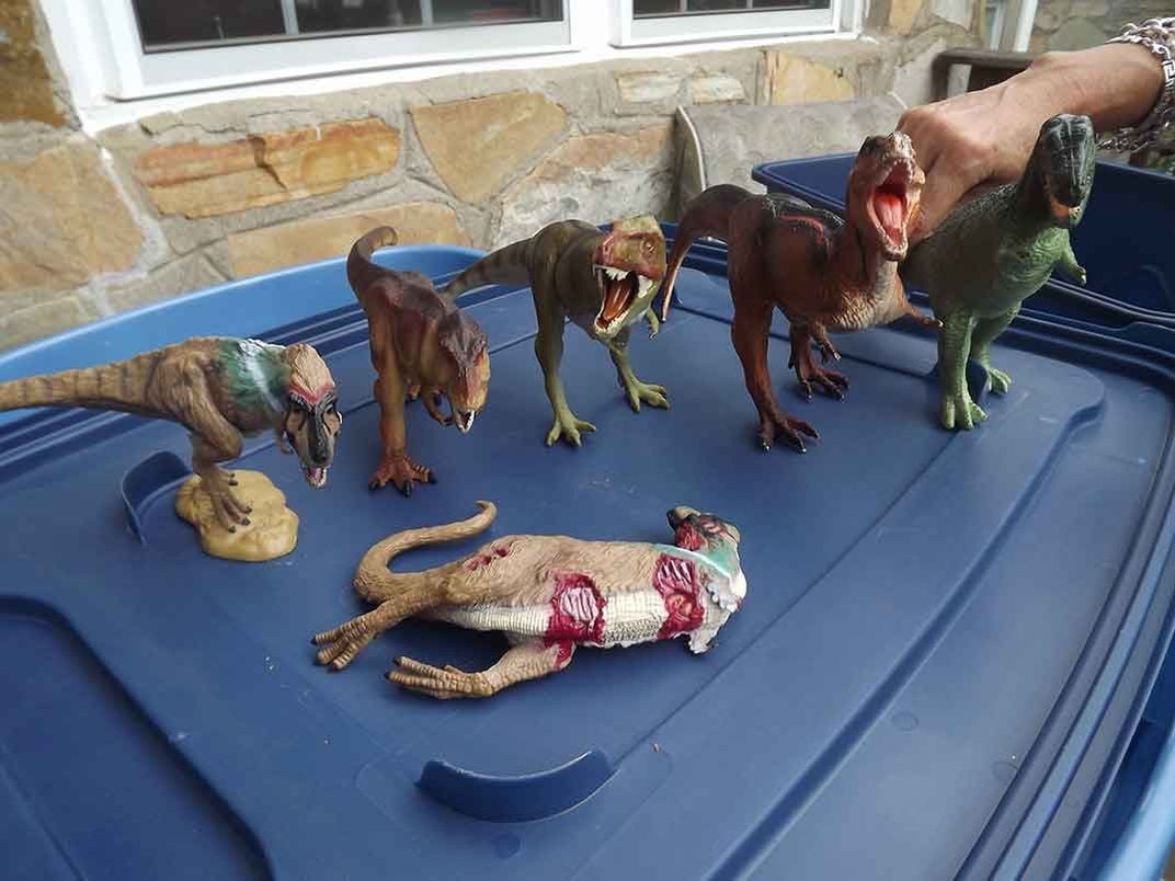 Collection Boxes of Toy Dinos