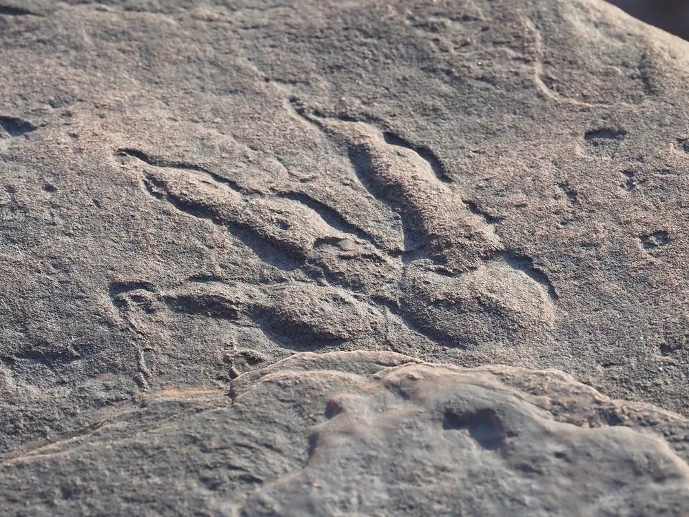 A photograph shows the fossilized footprint in a rock 