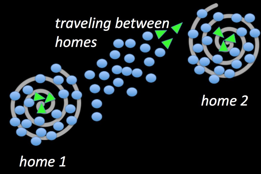 A diagram of dancing