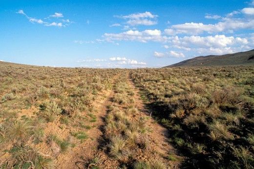 Nine Places Where You Can Still See Wheel Tracks From The Oregon Trail Travel Smithsonian Magazine