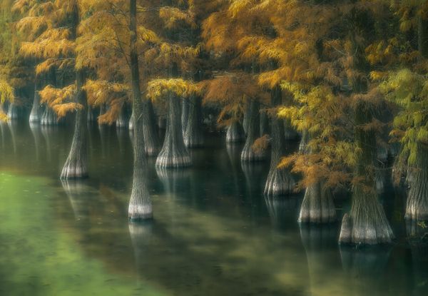 Light and shadow thumbnail