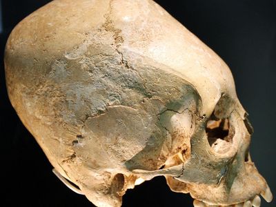 A modified human skull from the early 6th century