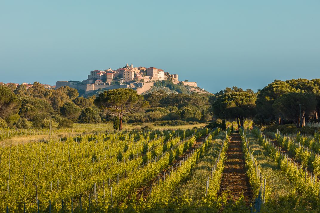 The hilltop town of Calvi, Corsica