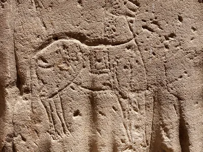 One ancient graffiti artist carved this creature at the Philae temple complex&mdash;most likely a horse.