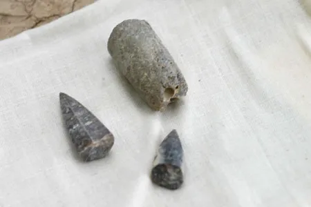Belemnite fossils found during the first day in the field