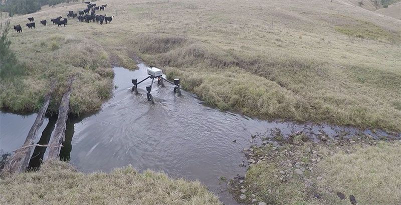 Meet SwagBot, the Robot Cowboy That Can Herd and Monitor Cattle On Its Own