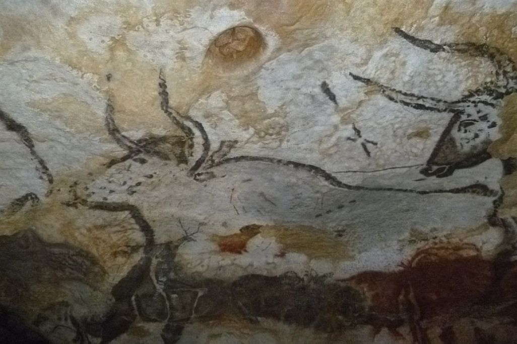 Cave drawing of a bull