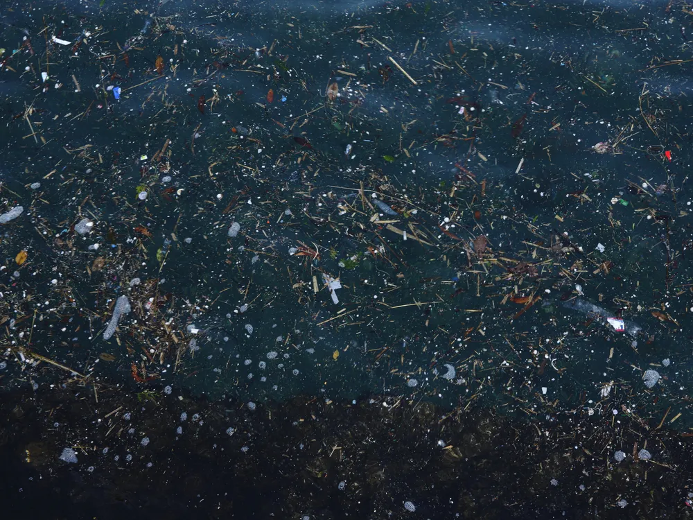 Garbage on the surface of the sea