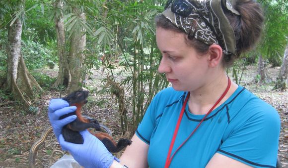 Zoologist Melissa Hawkins holds a squirrel with gloved hands and observes it while in the woods during daylight.