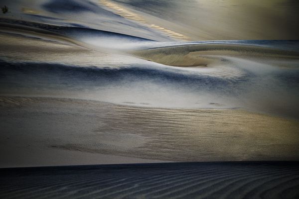 Borne of the Wind thumbnail