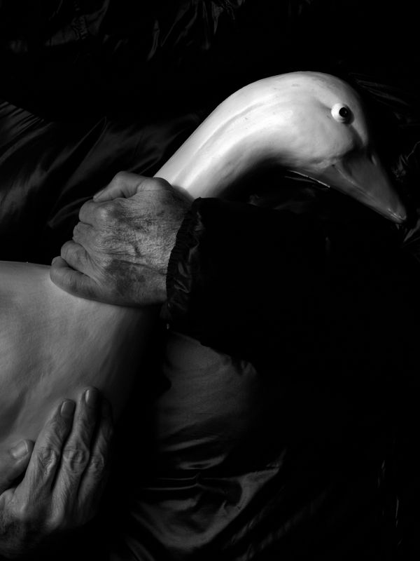 3_Laura Malaterra_My toys, the goose thumbnail