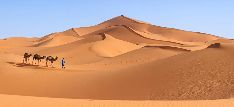  Dunes of the Sahara 