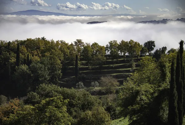 Tuscan landscape 03 thumbnail