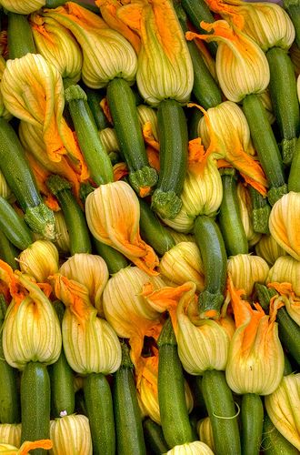 Food of the Moment: Squash Blossoms