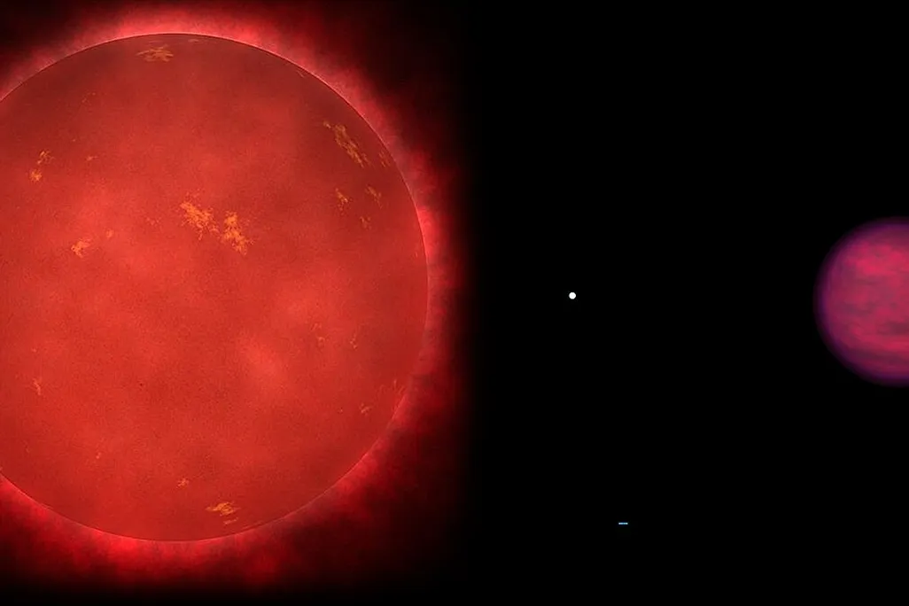 an illustration of a red dwarf star, a white dwarf, and a brown dwarf