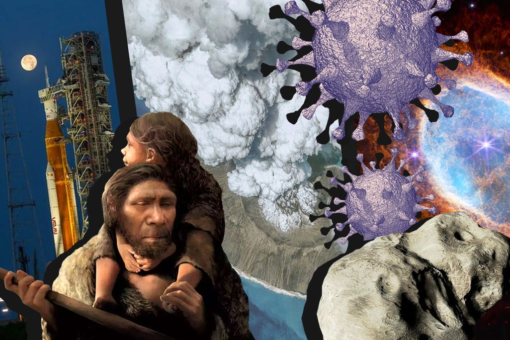 Collage of top science stories of 2022