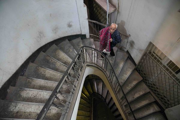 iranian carpet thumbnail