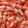 How Shrimp Shells Are Being Turned Into 'Carbon Negative' Fuel, Food and Construction Materials icon