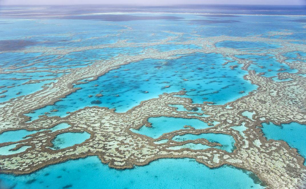 Great Barrier Reef, near Hardy Reef
