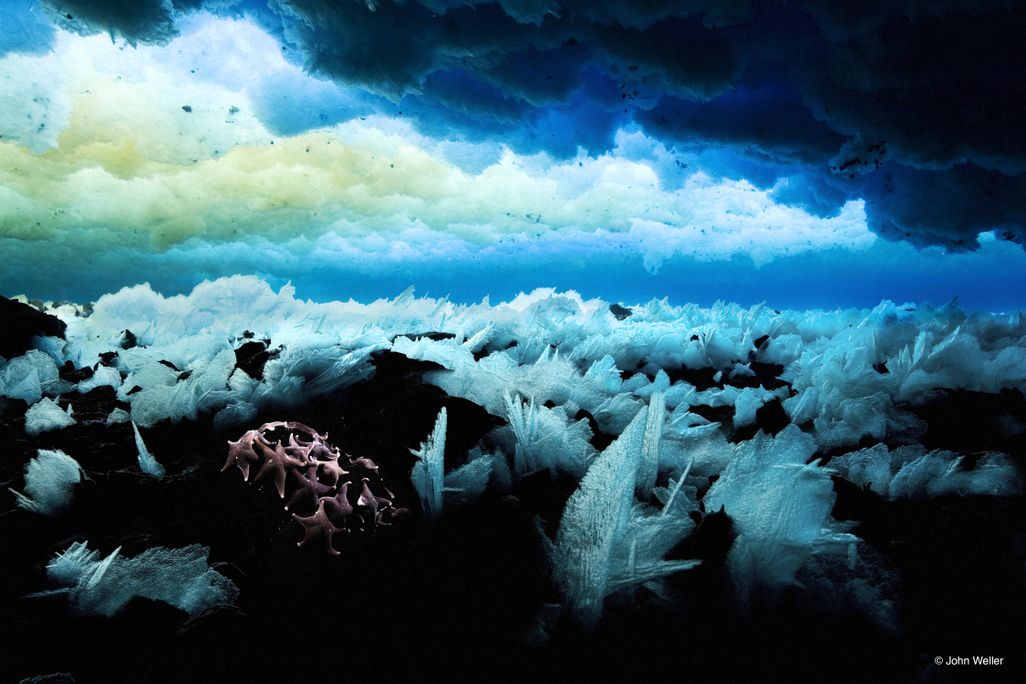 Under the Ross Sea
