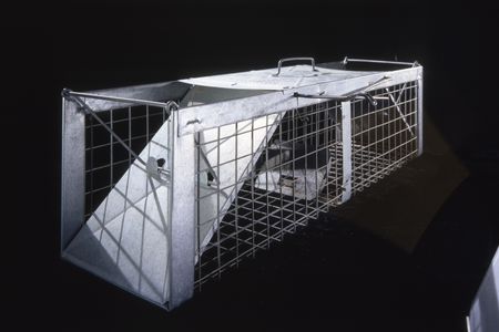 A pigeon trap, on view at the Air and Space Museum, used by Nobel Prize winners Penzias and Wilson to remove the birds roosting in the radio antenna's large horn.