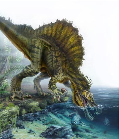 20110520083253marshall-spinosaurus.jpg