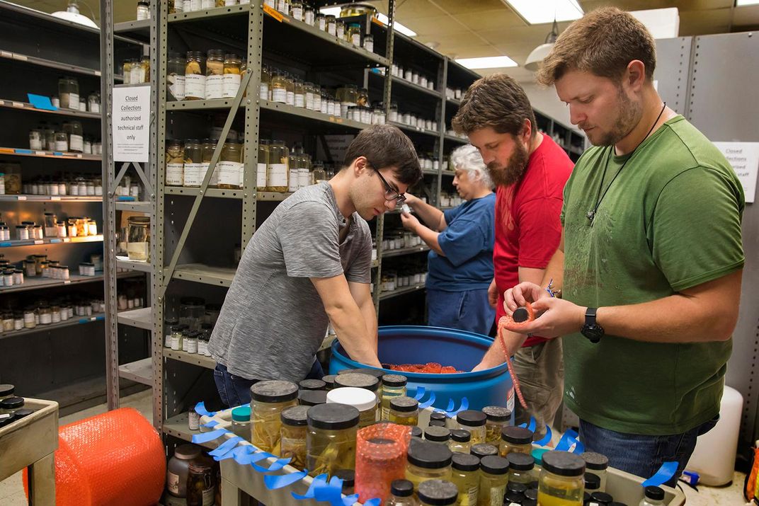 Packing specimens