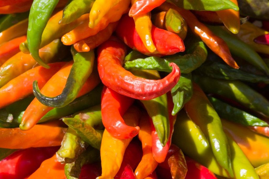 Chile Peppers