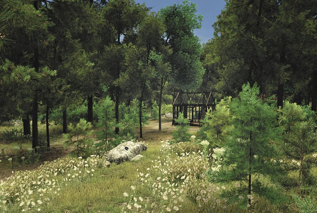 Walden clearance video game