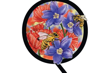 One reader wonders why more flowers and fruits aren&#39;t blue-hued.