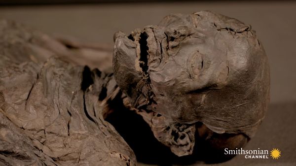 Preview thumbnail for Forensic Test Reveals a Mummy's Travels Before Death