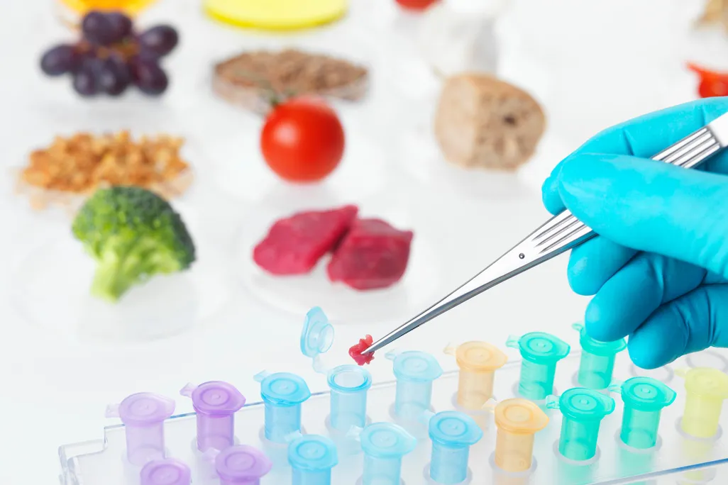 Lab food main image