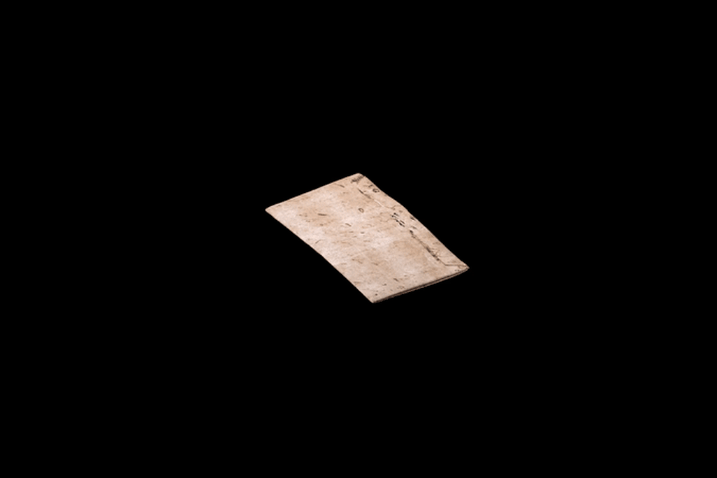 A gif animation of the virtual unfolding process