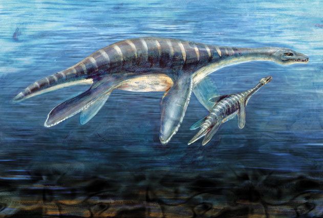 plesiosaurs