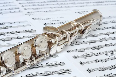 Playing the flute isn't easy even for some humans, but in the 18th century, inventor Jacques de Vaucanson figured out how to make a machine play it.