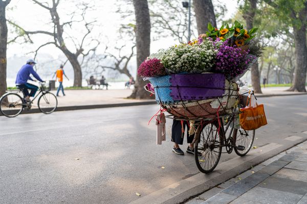 Flower Vendor, Hoan Kiem Lake, Hanoi thumbnail